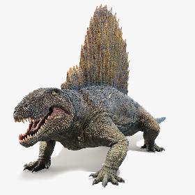 3D Dimetrodon